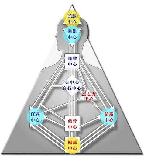 人類圖數字|人類圖免費分析》9大能量中心、通道閘門代表什麼意。